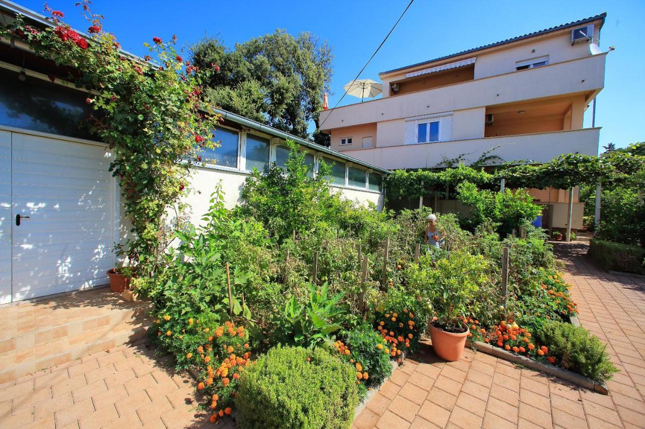 Sunny Apartments Bibinje Exterior photo